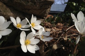 Spring Time – It's About Time